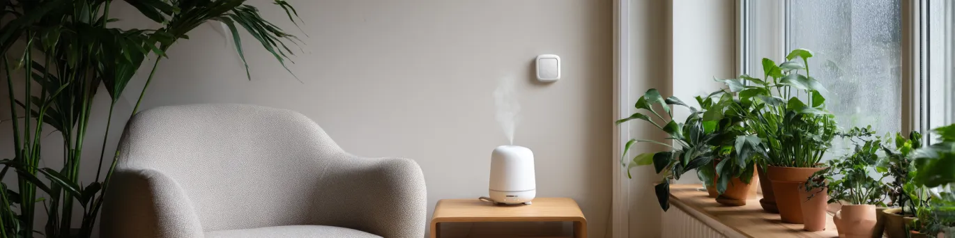 Humidité maison : identifier condensation, infiltrations, remontées capillaires et agir écolo